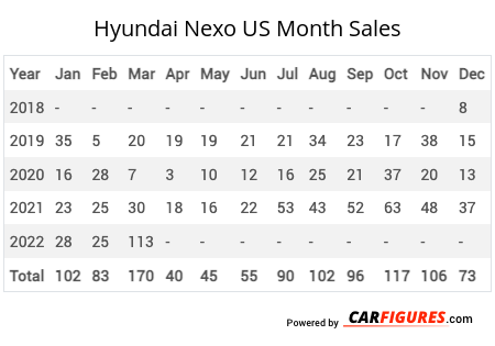 Hyundai Nexo Month Sales Table